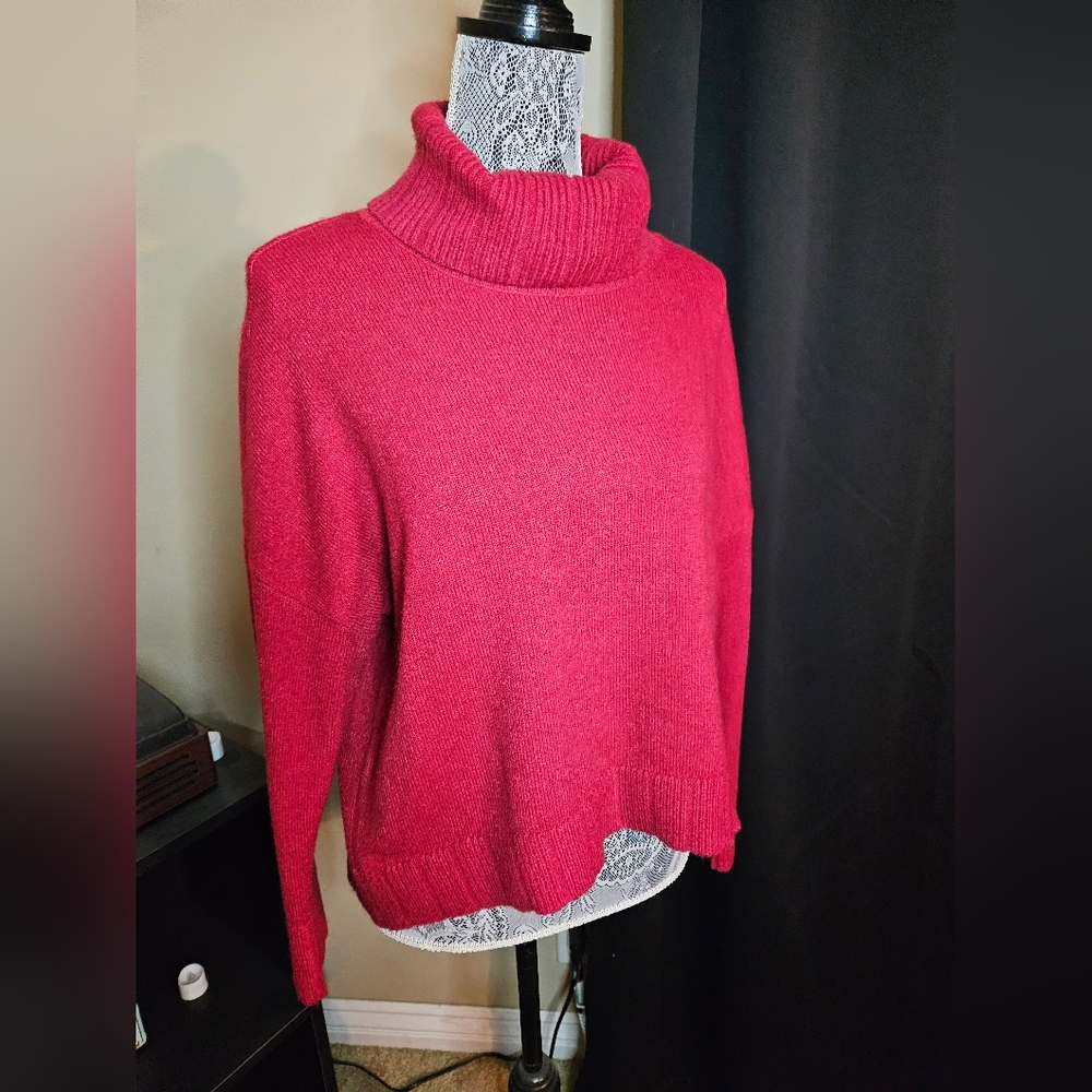 Turtleneck  sweater